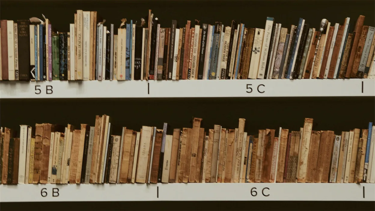 Library shelf full of books